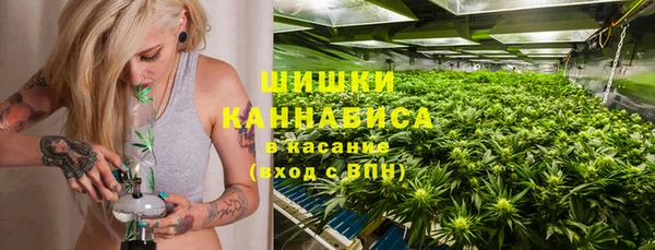 ПСИЛОЦИБИНОВЫЕ ГРИБЫ Алзамай