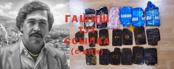молекула духа Алексеевка