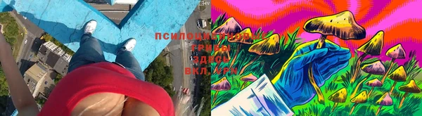 бошки Алексин