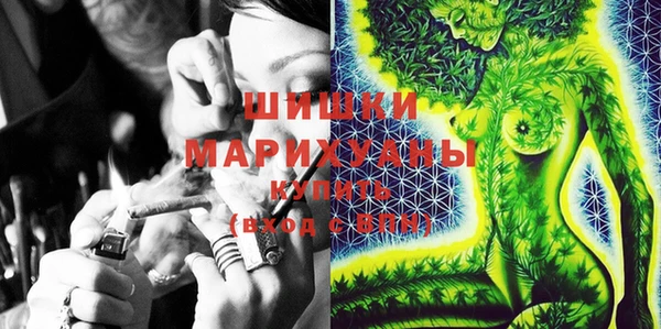 ПСИЛОЦИБИНОВЫЕ ГРИБЫ Алзамай
